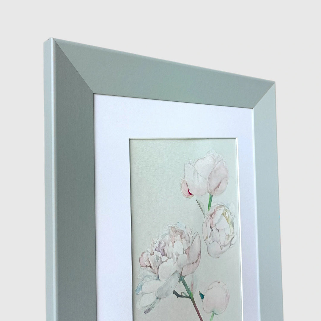 Peony season 1-12